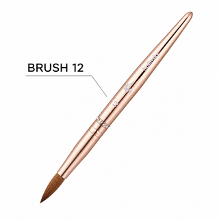Kolinsky Acrylic Brush - Pinched - Size 12 - Gold