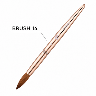 Kolinsky Acrylic Brush - Pinched - Size 14 - Gold